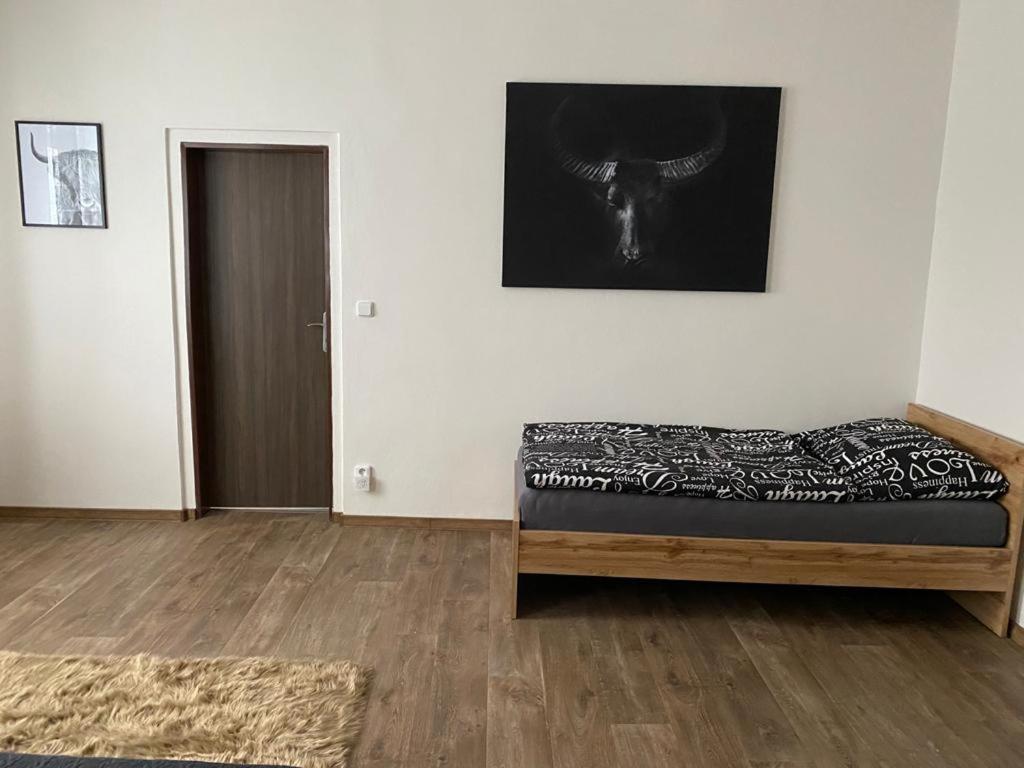 Cerny Tulipan - Apartman 3 Apartment Plzen Ngoại thất bức ảnh